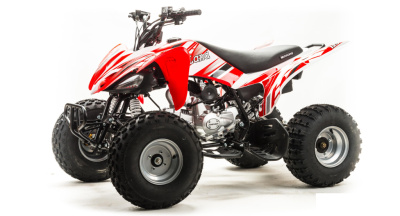 Квадроцикл Motoland 125 S