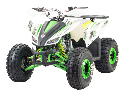 Квадроцикл COYOTE 125