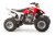 Квадроцикл Motoland 250 S
