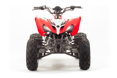 Квадроцикл Motoland 250 S