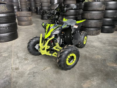 Квадроцикл Motoland RAPTOR 110 Квадроцикл Motoland RAPTOR 110