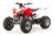Квадроцикл Motoland 250 S