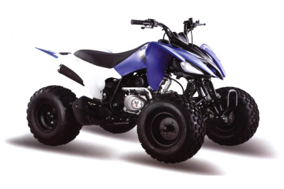Квадроцикл Motoland 150 S