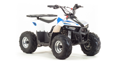 Квадроцикл Motoland EAGLE 110
