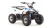 Квадроцикл Motoland EAGLE 110