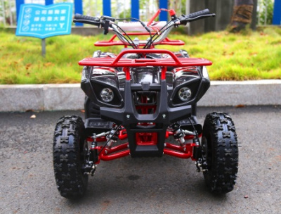 Квадроцикл Motoland 50 Mini