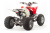 Квадроцикл Motoland 250 S