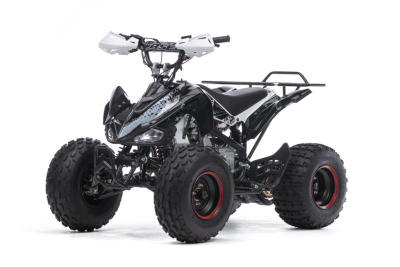 Квадроцикл BSE XT-1 125 Black