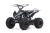 Квадроцикл BSE XT-1 125 Black