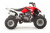 Квадроцикл Motoland 250 S