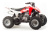 Квадроцикл Motoland 250 S