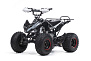 Квадроцикл BSE XT-1 125 Black