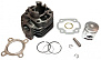 ЦПГ 2T 50см3 D40 10мм 1E40QMB SEE
