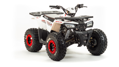 Квадроцикл ATV 125 WILD