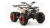 Квадроцикл ATV 125 WILD