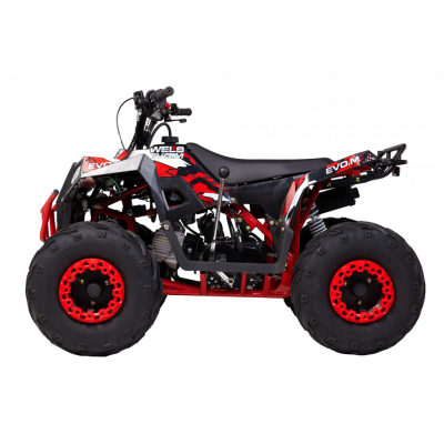 Квадроцикл WELS Thunder EVO M черный (комплект пластика)