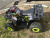 wildtrack 125