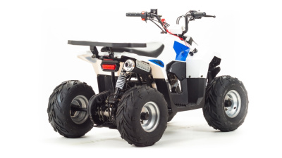 Квадроцикл Motoland EAGLE 110