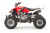 Квадроцикл Motoland 250 S