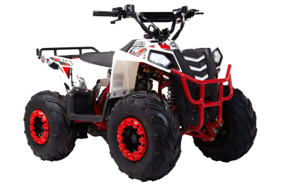 Квадроцикл WELS Thunder EVO M белый (комплект пластика)