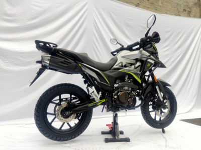 ADV 300 NB