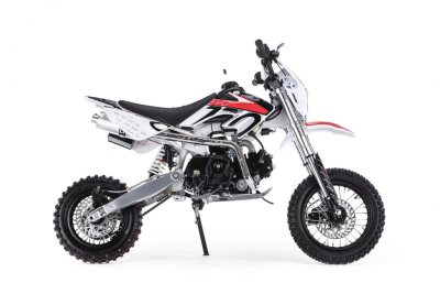 Питбайк BSE EVO 110e Evolution SA 12/10