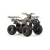 Квадроцикл Motoland 125 FOX