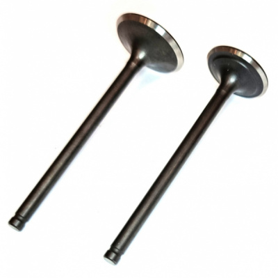 Клапаны (впуск/выпуск) 174MN-3 (CBS300) (24/28L-100)